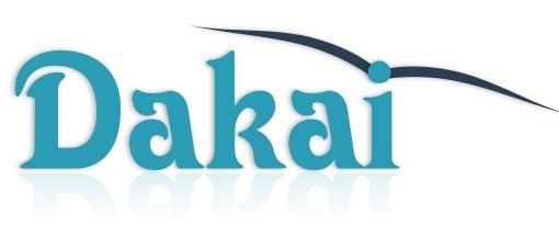 Dakai Soft SRL, Vacaru Adrian